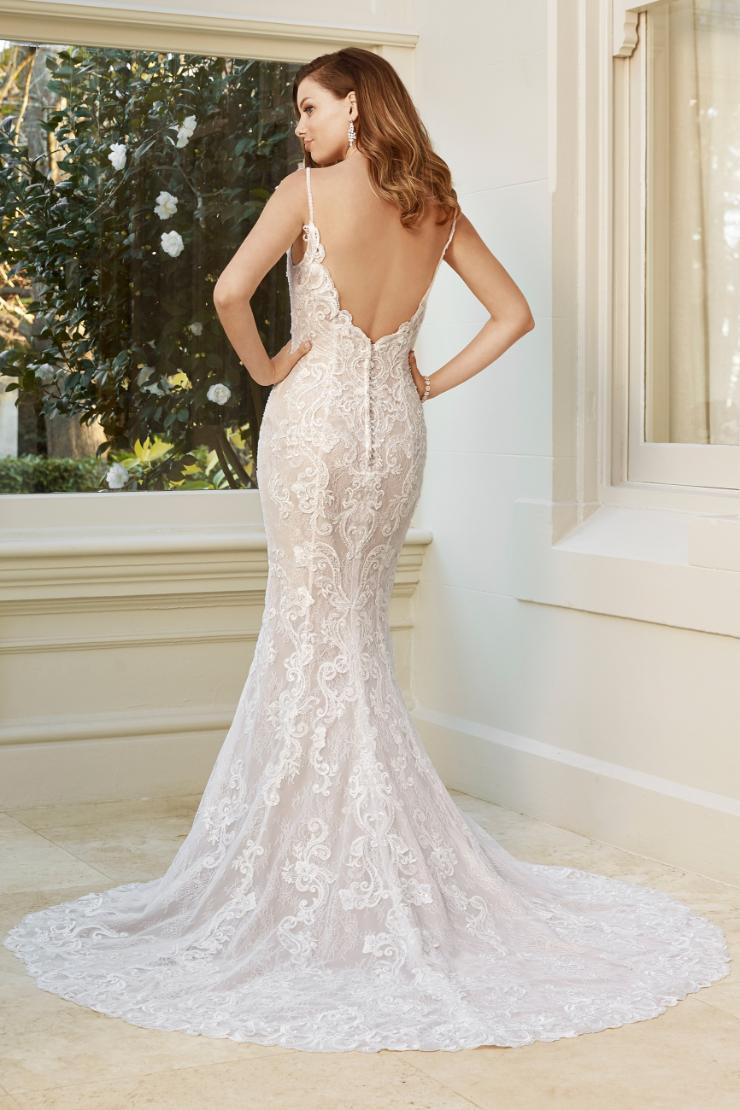 Stunning Sexy Lace Trumpet Wedding Dress Charlee