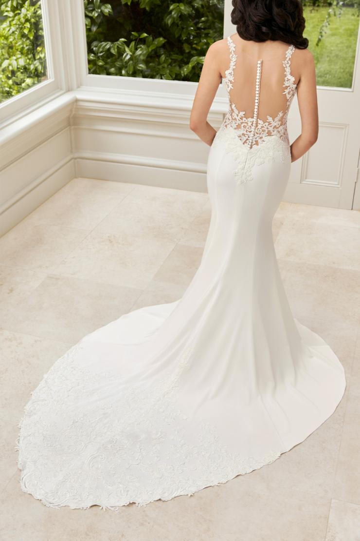 Modern Fit and Flare Gown with Illusion Back Hollie