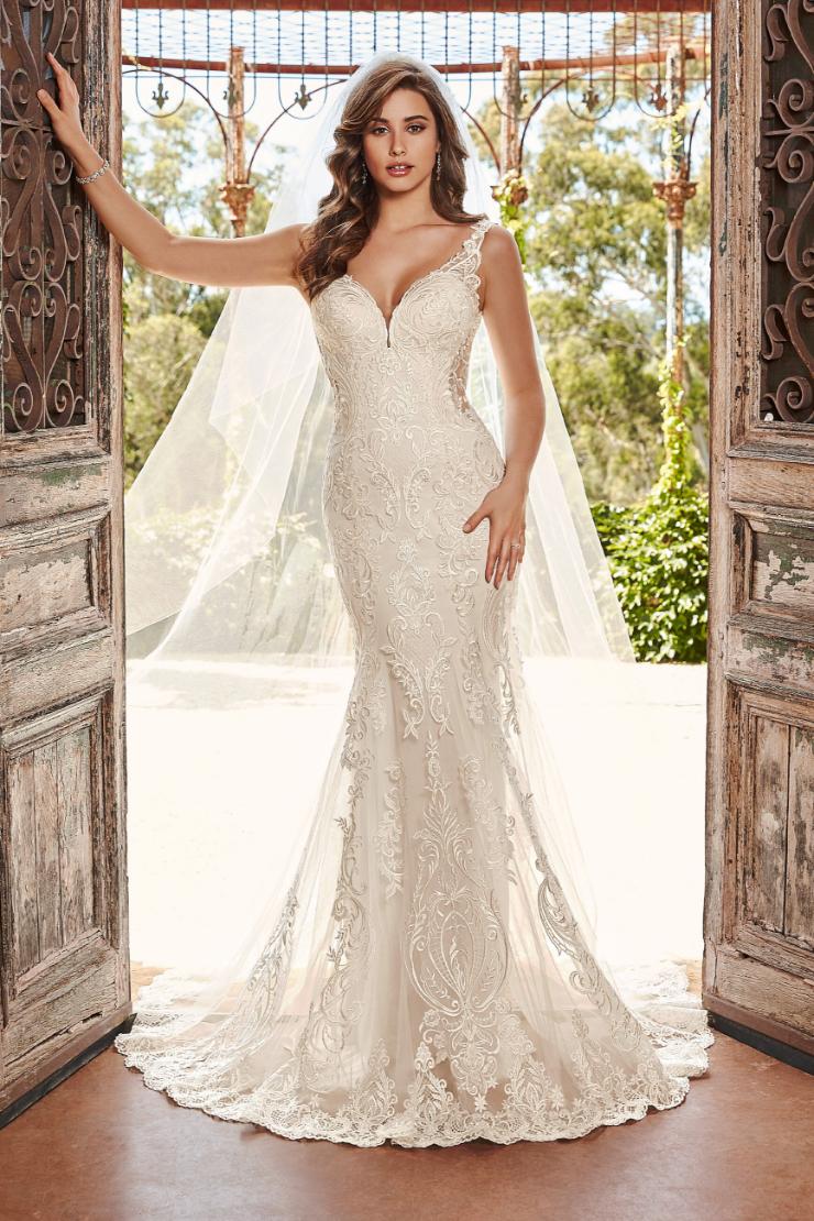 Elegant Fit and Flare Gown with Sheer Details Tara