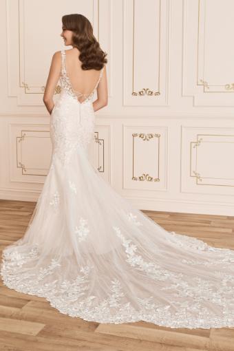 Stunning Lace Wedding Dress with Low Back Aaliyah
