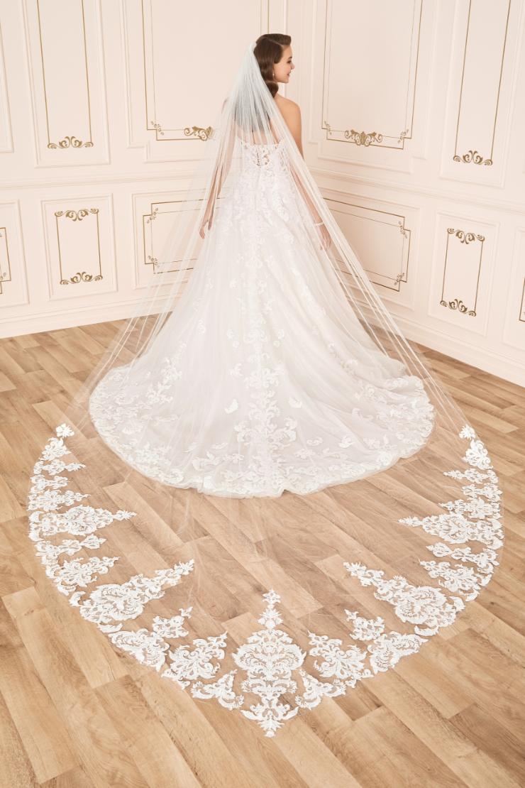 Elegant Shaped Bridal Veil