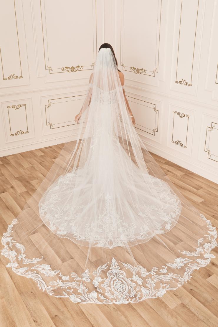 Graceful Soft Tulle Veil with Lace Details