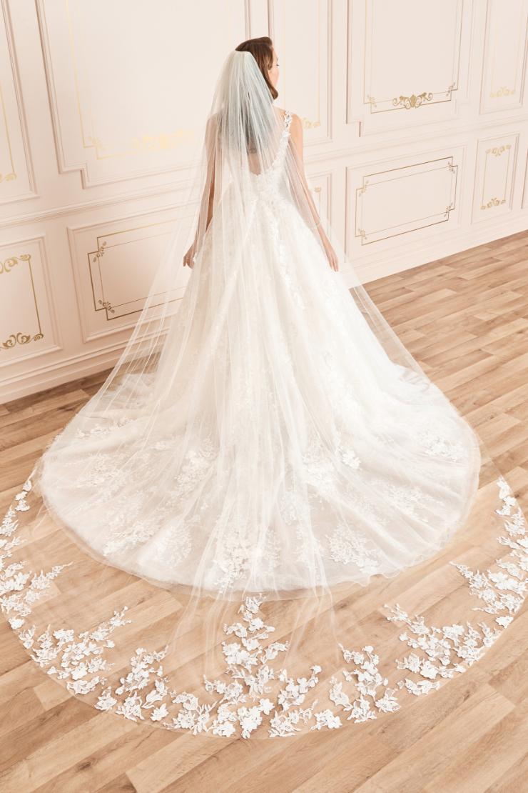 Breathtaking Tulle Veil with Sequined Lace