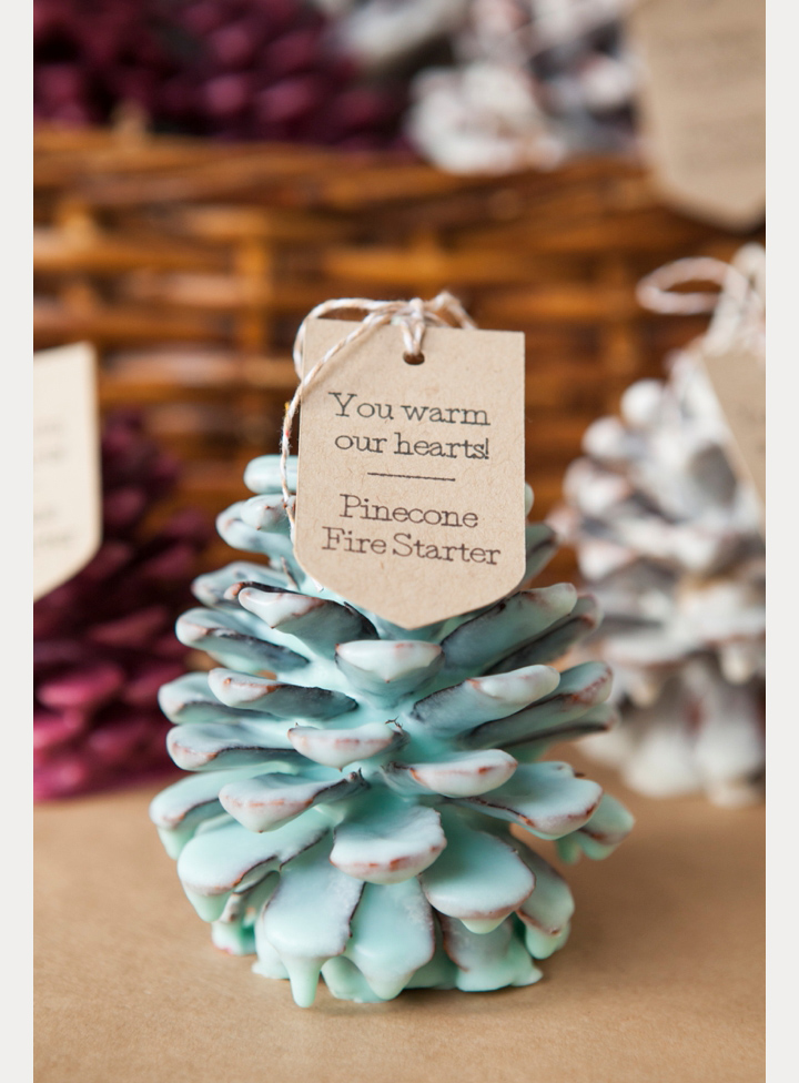 DIY Pinecone Fire Starter Wedding Favors ~ we ❤ this! moncheribridals.com