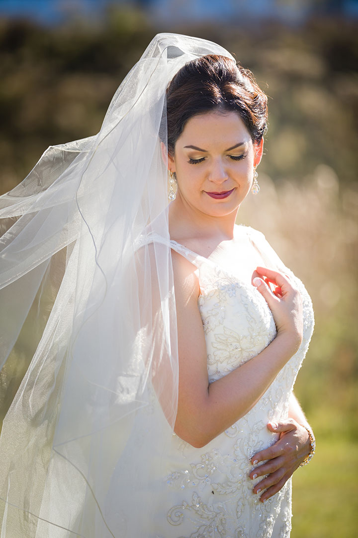 Stunning Bride Wears Sophia Tolli Fit & Flare Dress "Monaco"