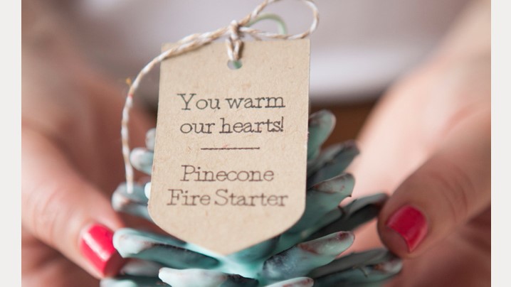 DIY Pinecone Fire Starter Wedding Favors Desktop Image