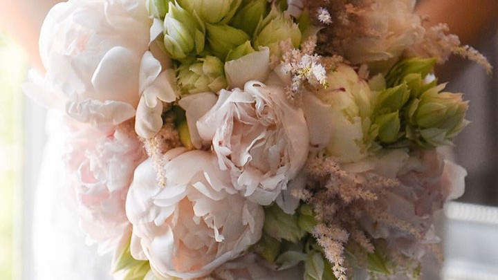 Prettiest Peony Bouquet Ever Desktop Image