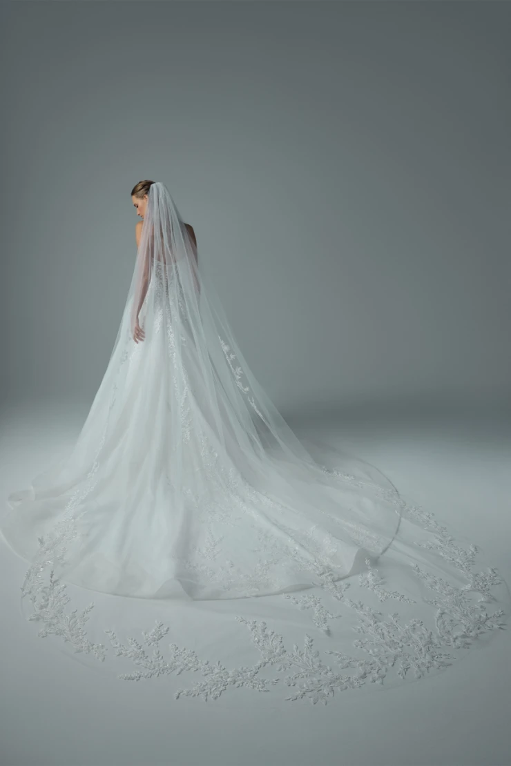 Neeve Thumbnail Image