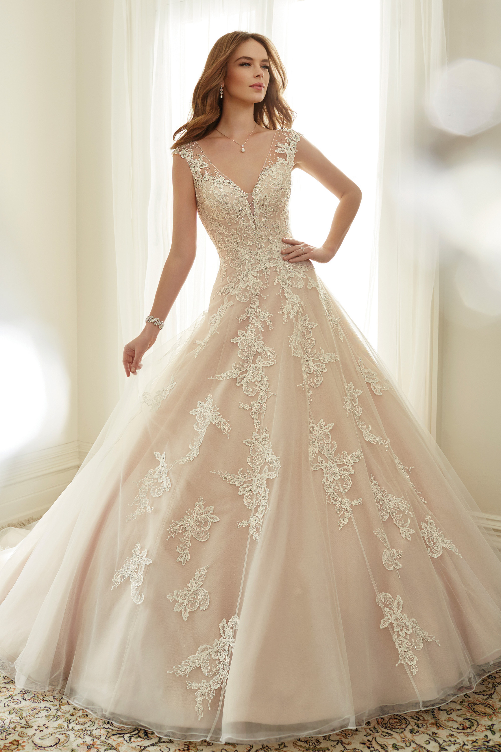 sophia tolli