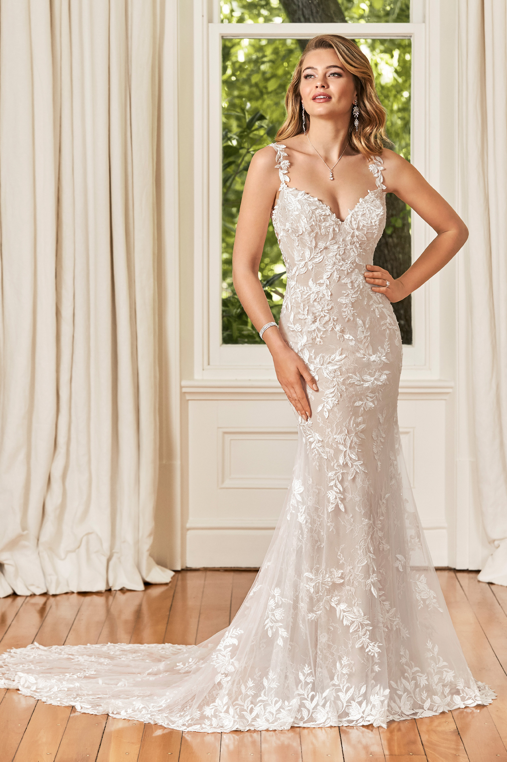 sophia tolli