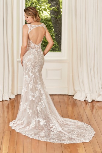Elegant Bohemian Fit and Glare Gown Ariella $2 thumbnail