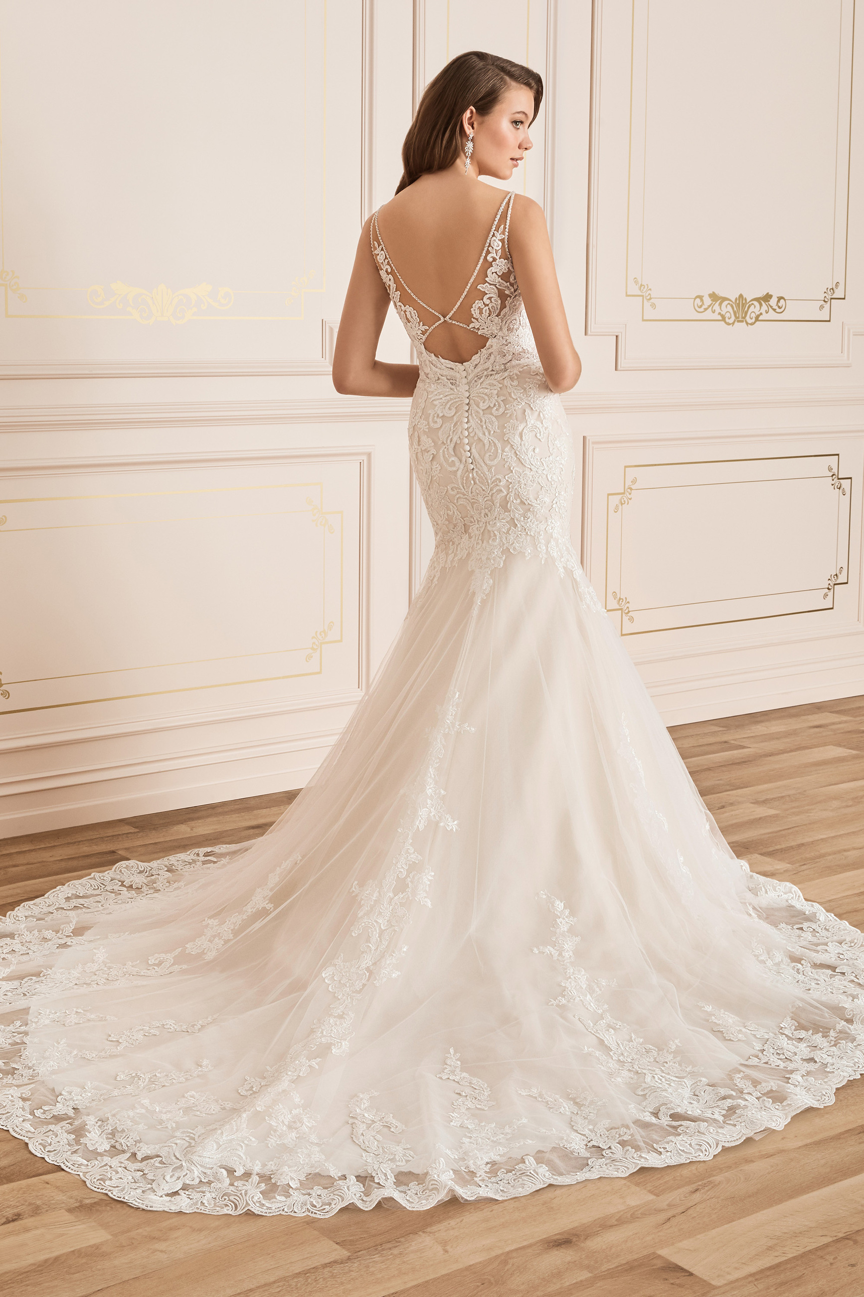 sophia tolli pippa
