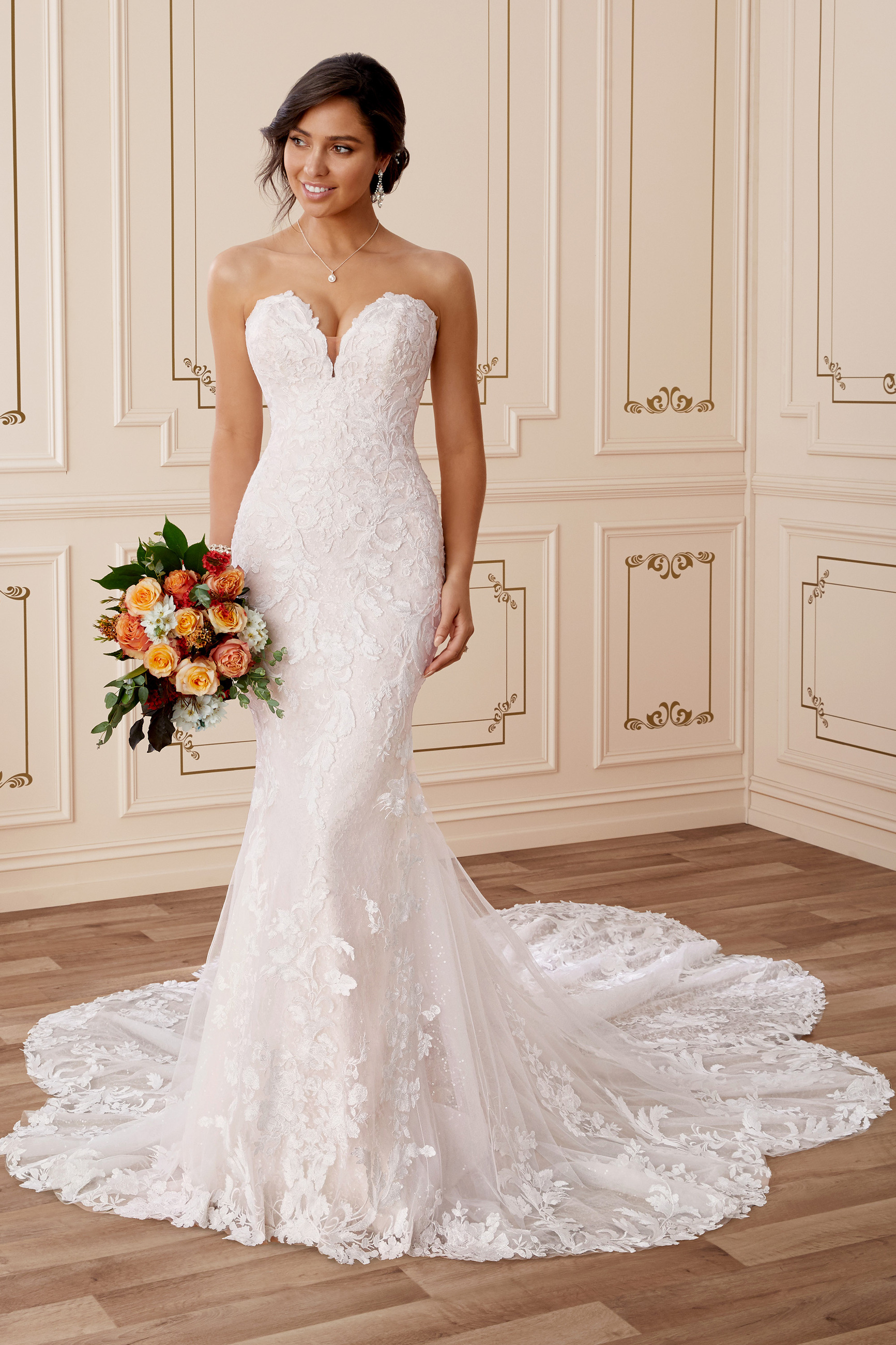 sophia tolli