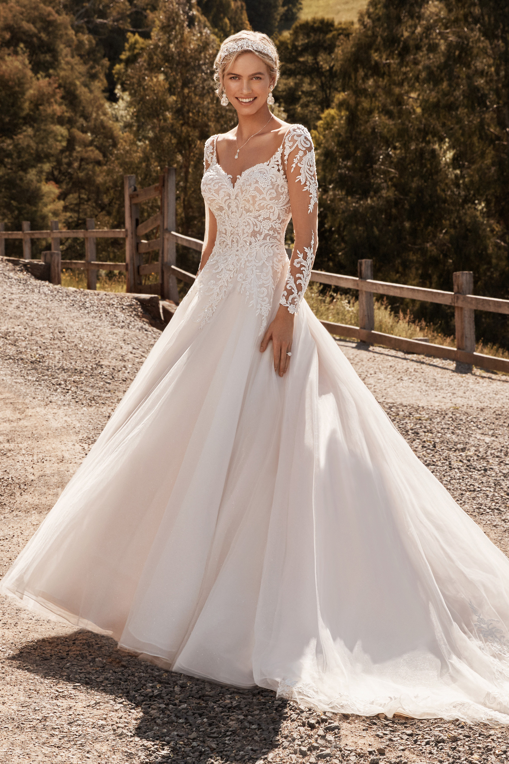 sophia tolli