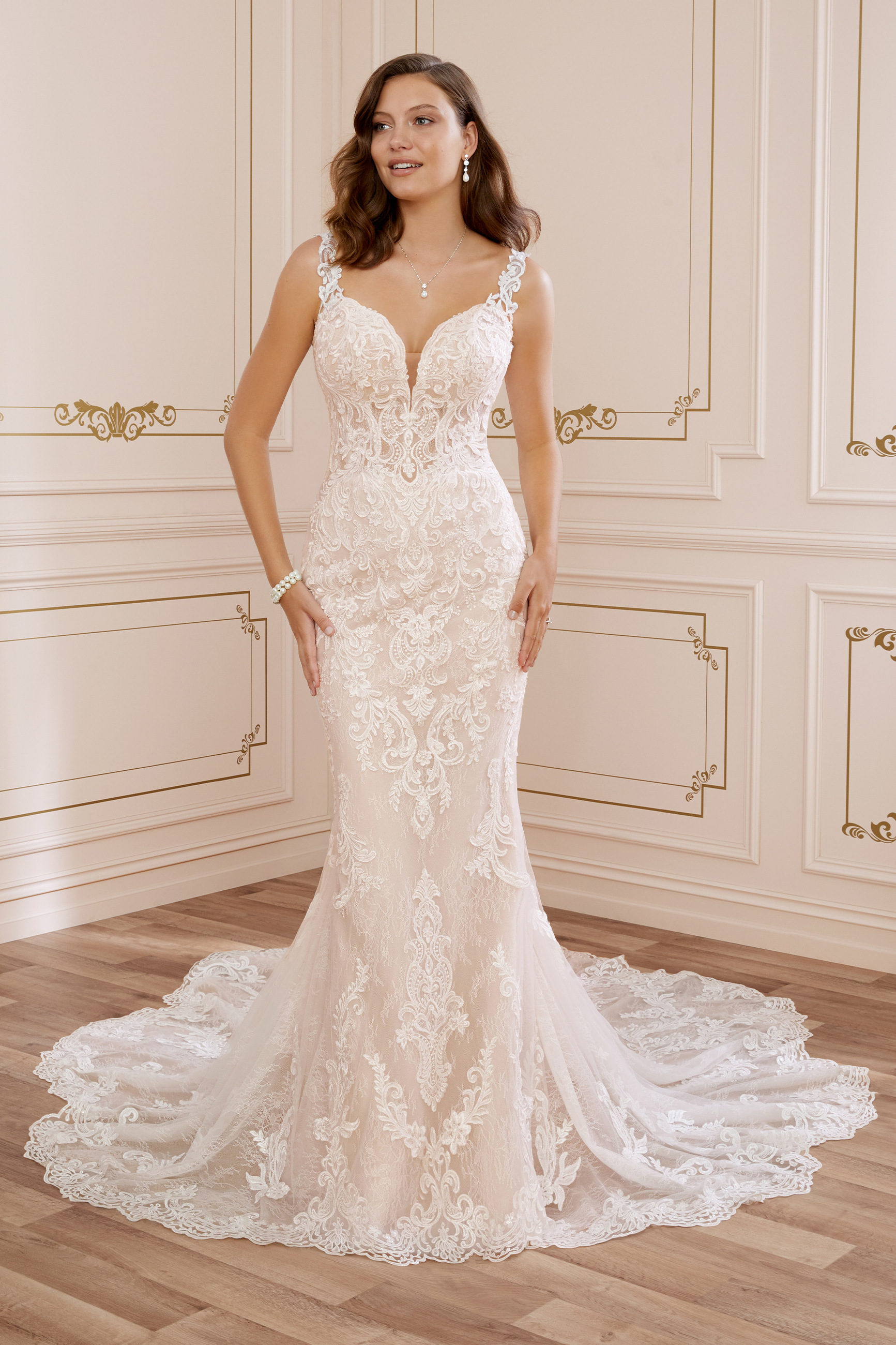 sophia tolli