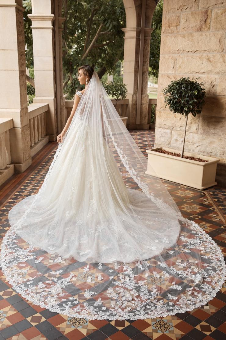 Royal Veil with Breathtaking Lace Trimming