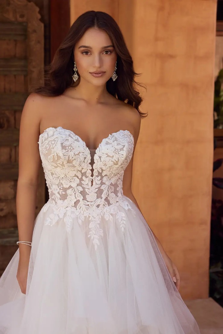 Modern Ball Gown with Magnificent Lace Bodice Tilly #4 picture